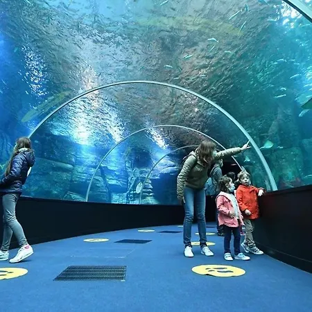 La Ptit Sophie - Conciergerie Leroy Apartment *